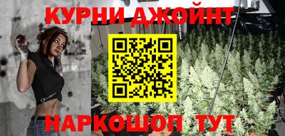 сатива Ливны
